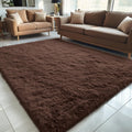 Machine Washable 5x8 Area Rug - Soft Fluffy Shaggy Carpet