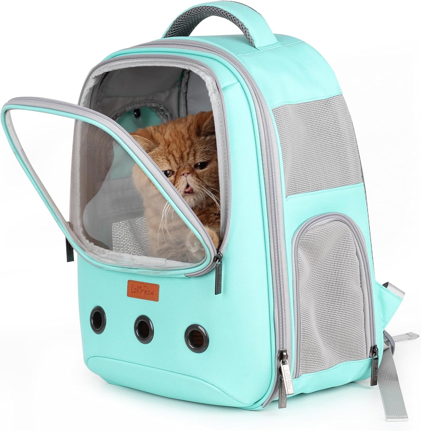 Lollimeow Pet Carrier Backpack for Cats and Puppies Travel