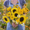 Mellow Yellow Flower Mixed Seeds for Planting - Pollinator Mix