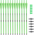 Crossbow Bolts 20in Fluorescence Color Carbon Bolts - Visible