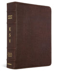 ESV Study Bible (Cowhide, Deep Brown) - In-depth Study Companion