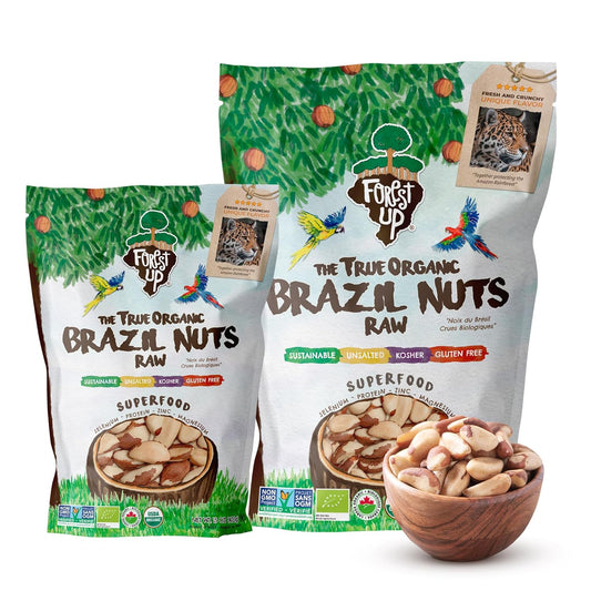 Organic Brazil Nuts - Raw, Unsalted, Vegan Snack from Forest Up