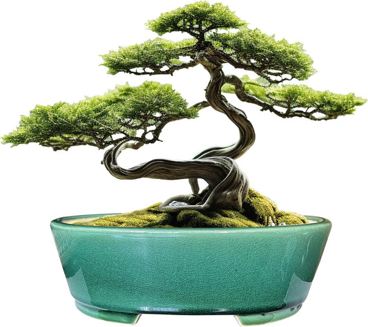 MUZHI 9 Glazed Oval Green Bonsai Planter Pot with Tray