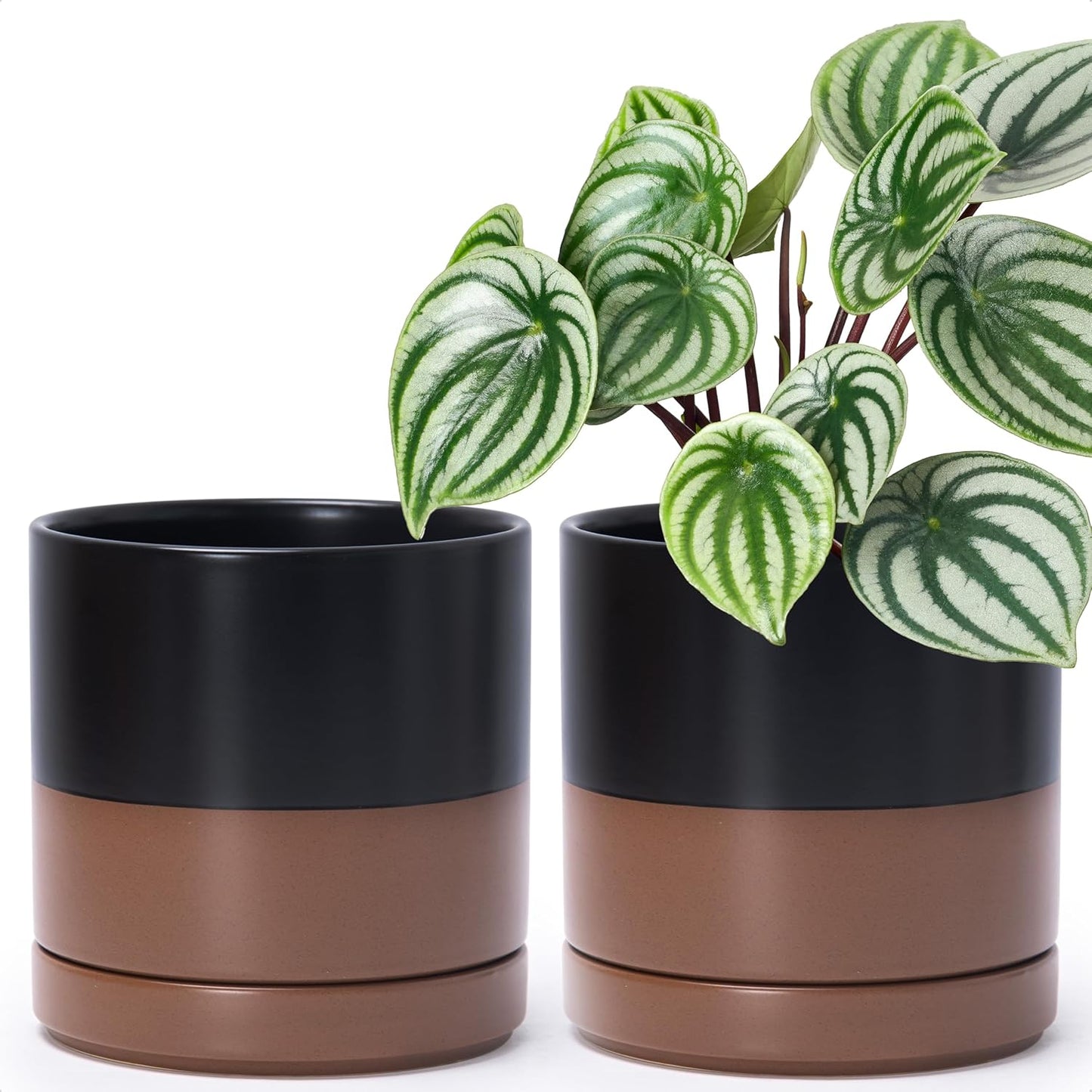 D'vine Dev Set of 2 Ceramic Planter Pots for Plants