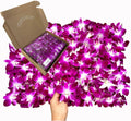 Fresh Orchid Loose Bloom for DIY Lei and Event Decorations