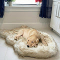 Memory Foam Dog Bed 40x25 in White with Brown Tips - Plush Orthopedic