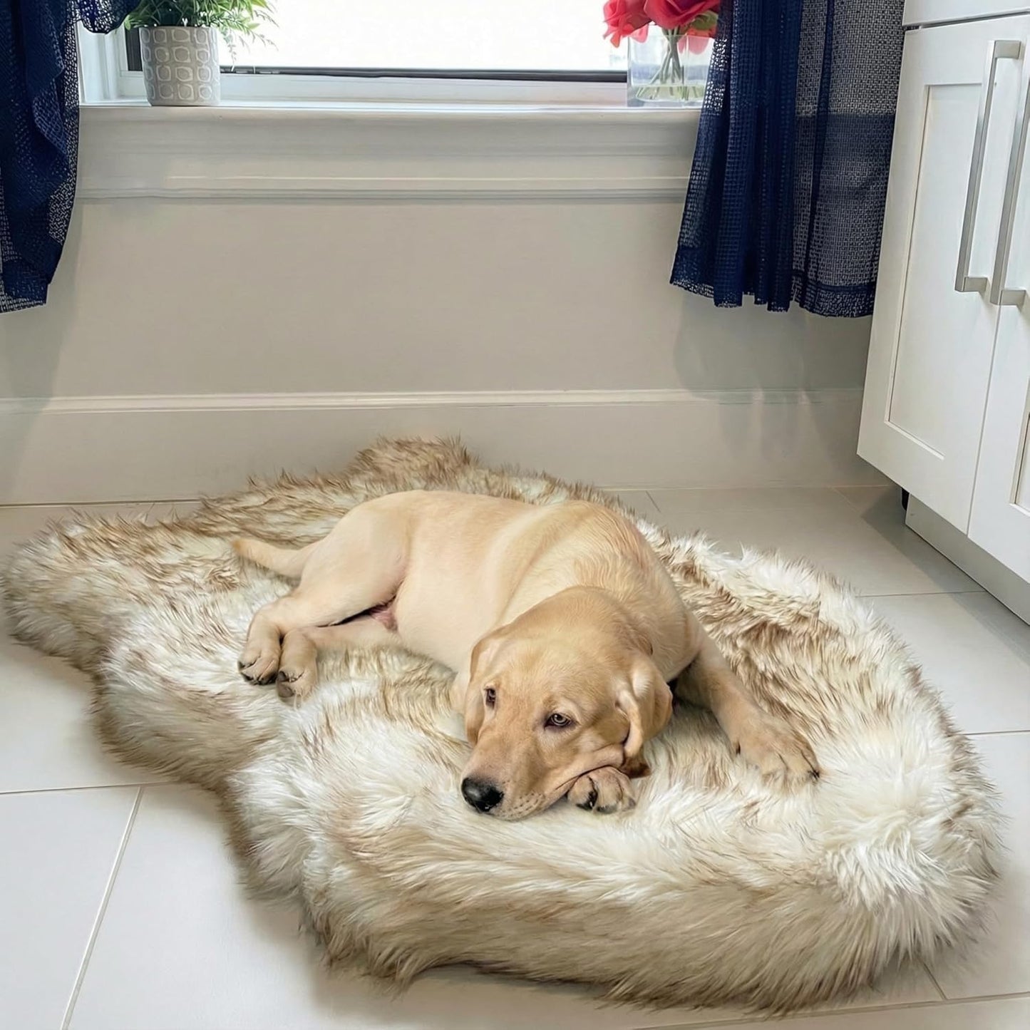 Luxury Faux Fur Orthopedic Dog Bed for All Pet Sizes