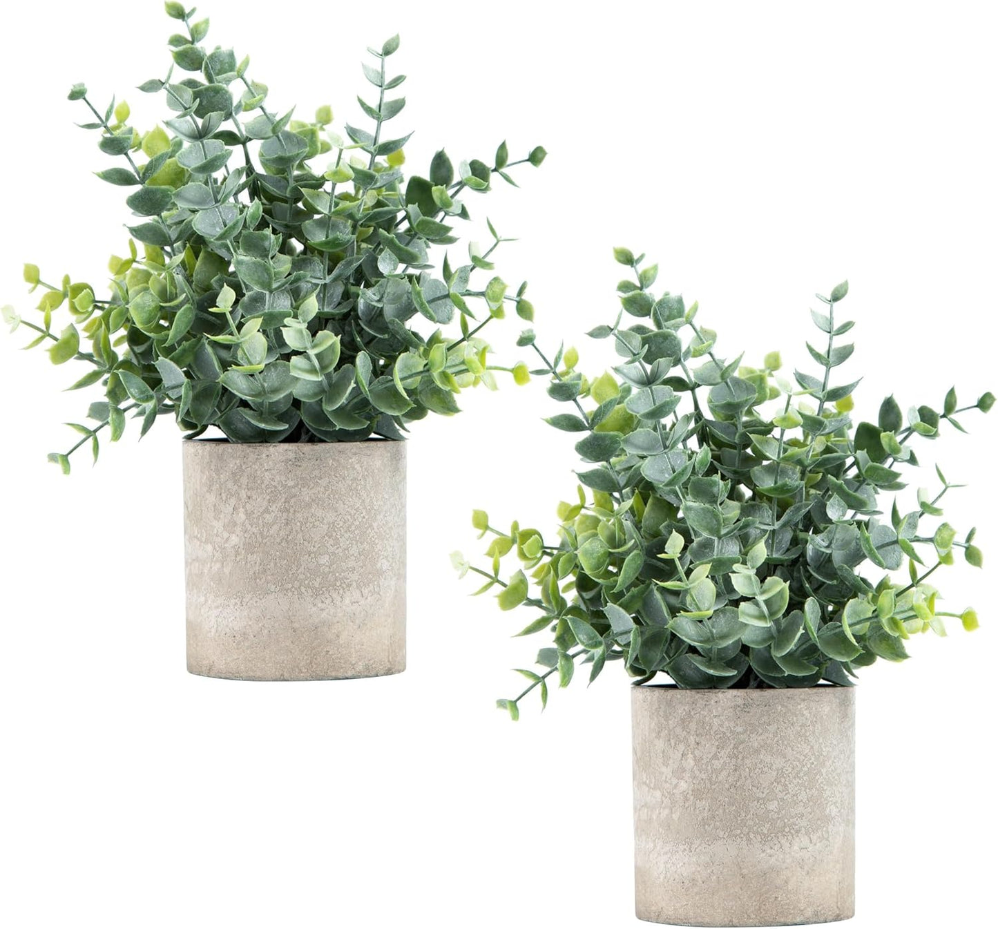 Sage Green Eucalyptus Potted Plants Duo - Farmhouse Decor