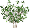 Artificial Eucalyptus Green Branches Faux Ficus Twig - Tall 43in (5