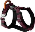 Premium Explorer Dog Harness Size 5 - Y-Shaped Durable Fit