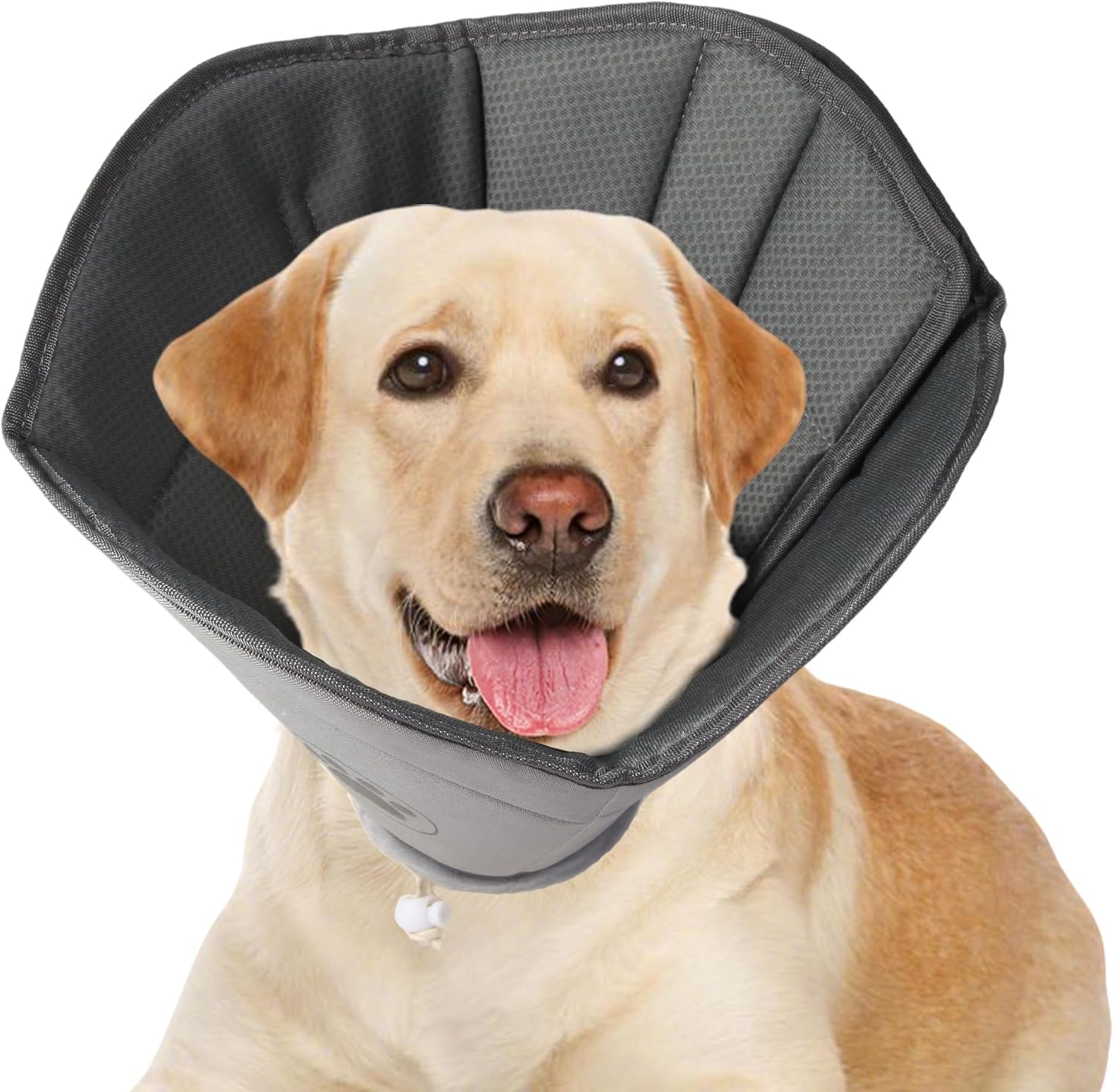 Soft Dog Cone for All Breeds After Surgery, Adjustable Collar
