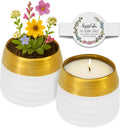 Hyggelight The Growing Candle Lavender Scented 10oz - Reusable Ceramic