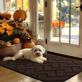 Indoor Door Mat 32 x 48 Low Profile Non Slip Rug - Absorbent Entry Mat