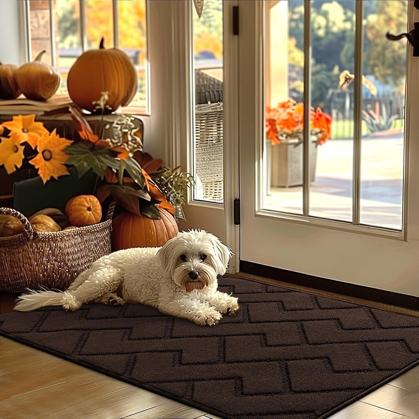 hicorfe Indoor Door Mat - Non Slip, Absorbent, Washable 32x48