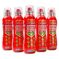 StaySafe All-in-1 Portable Fire Extinguisher - Compact Home Fire Spray