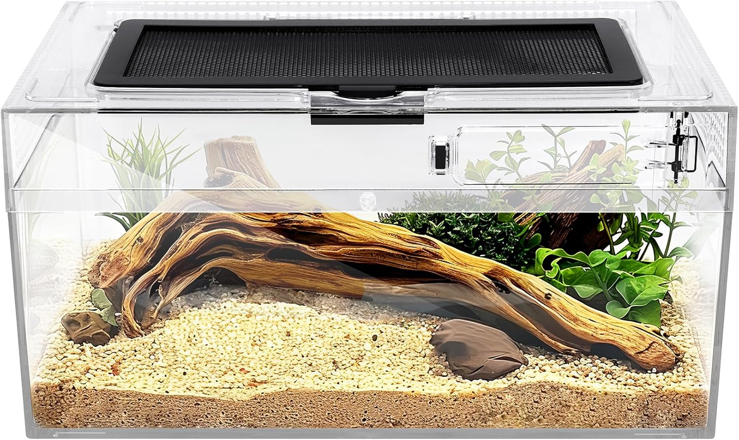 Reptile PC Terrarium for Leopard Gecko, Frog, and More