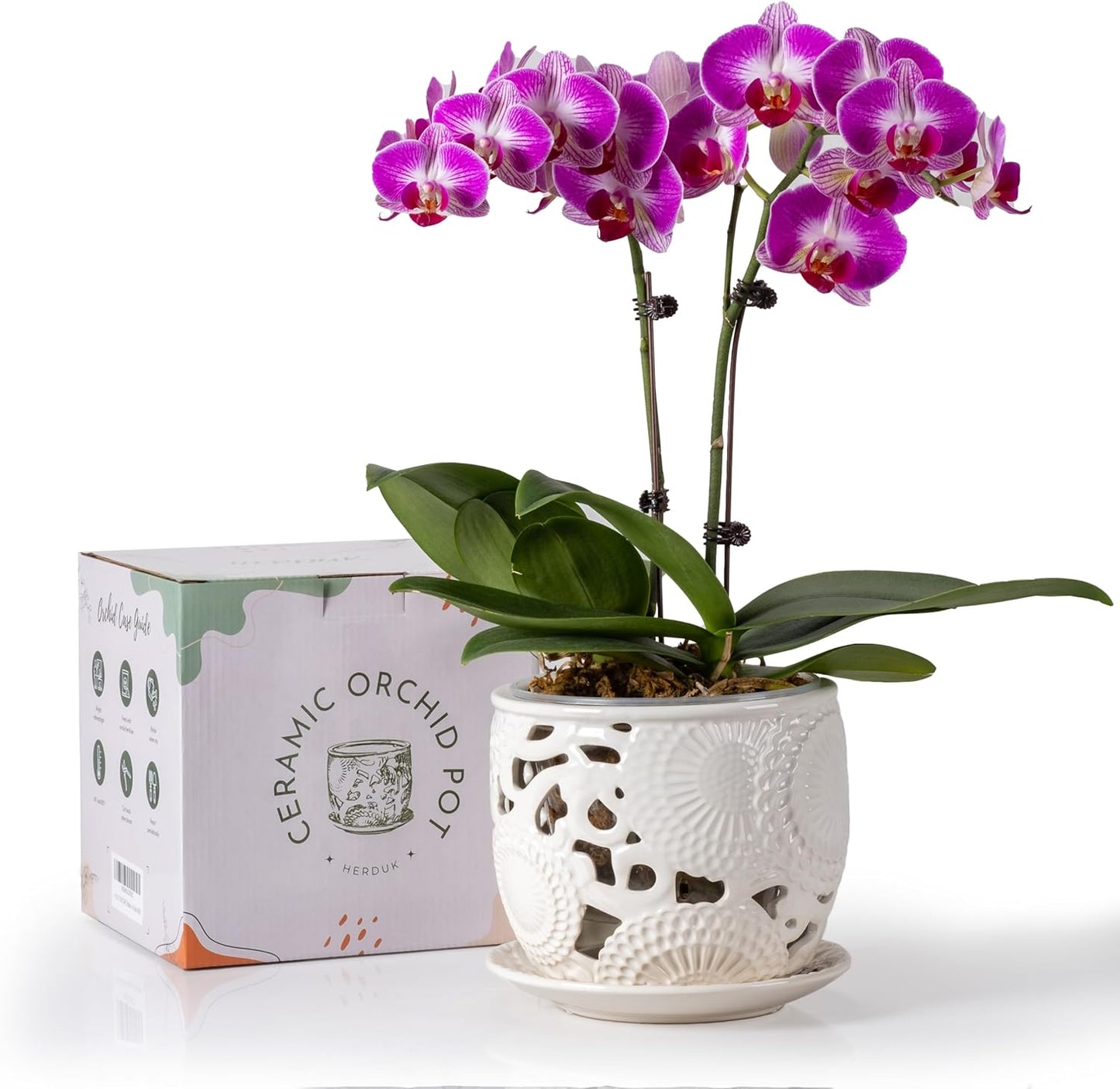 Ceramic Orchid Pot with Drainage Holes & Saucer for Indoor Use