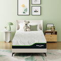 Rest Only Twin XL Mattress 14 Inch - Medium Plush Hybrid for Pressure
