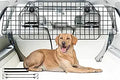 Dog Car Barriers for SUVs & Cars - Adjustable Heavy-Duty Pet Divider