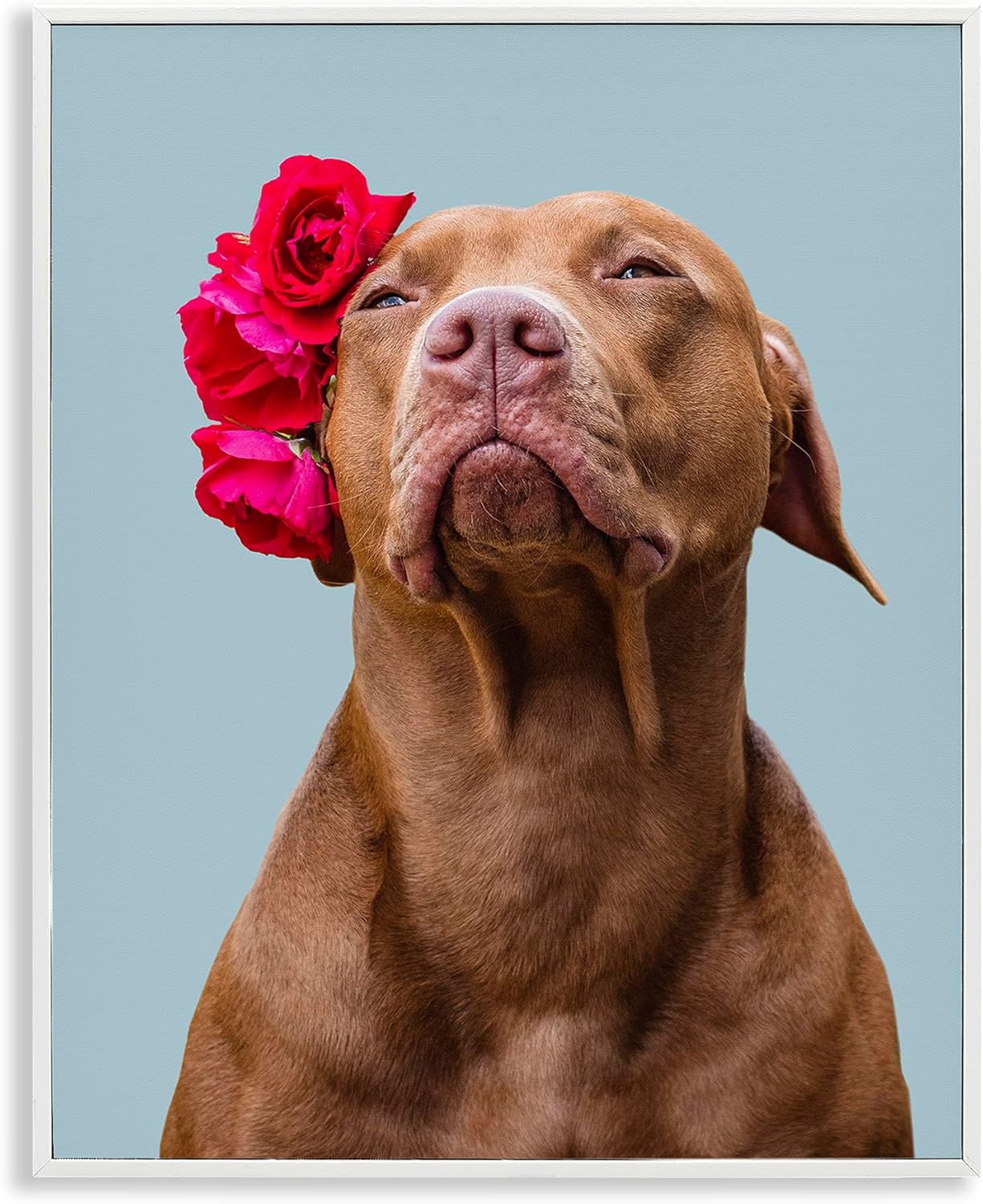 Turn Your Photo into Custom Canvas Art for Unique Wall Decor