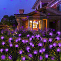Kohlrabi Solar Garden Lights Outdoor 10 Pack - Purple Swaying Firefly
