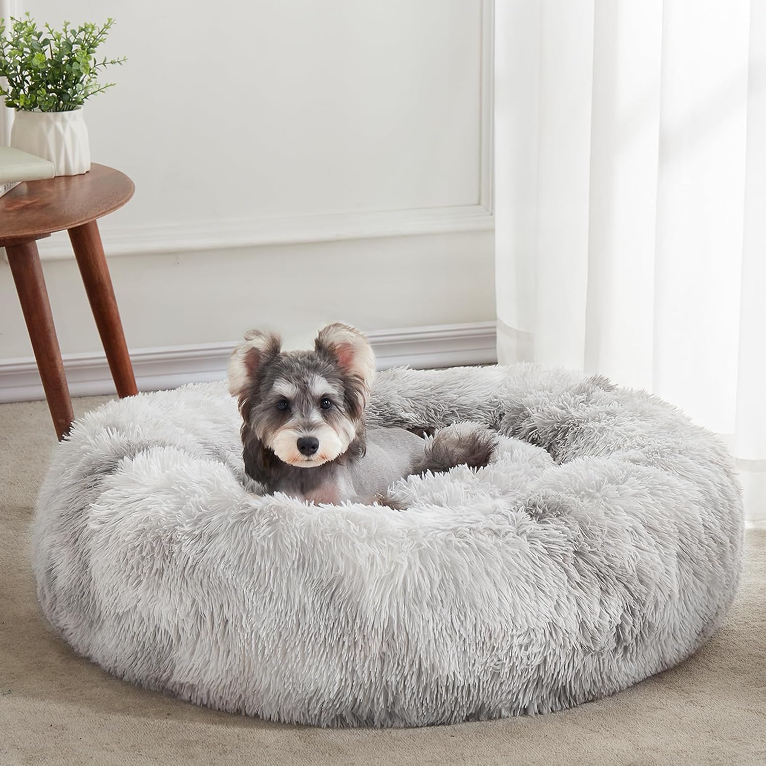 Calming Dog & Cat Bed by Western Home WH for Cozy Comfort