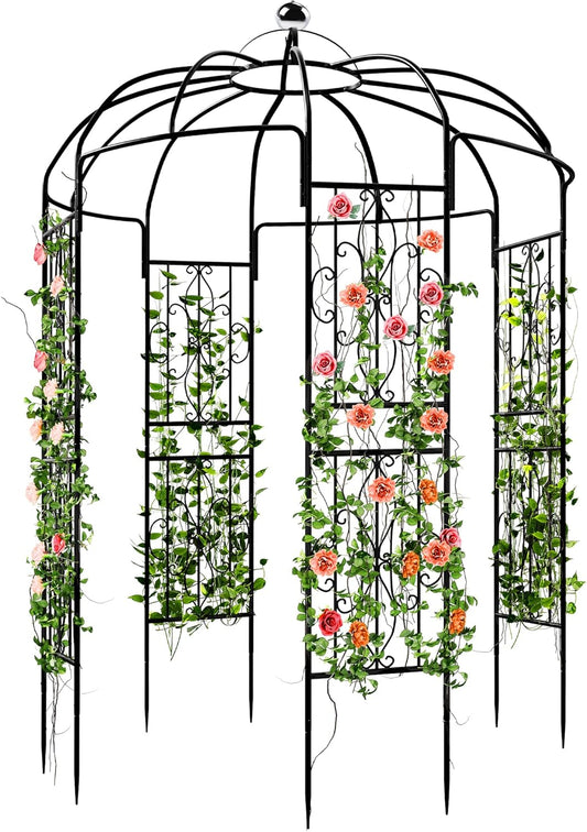 YITAHOME Birdcage Shape Garden Arch for Climbing Plants