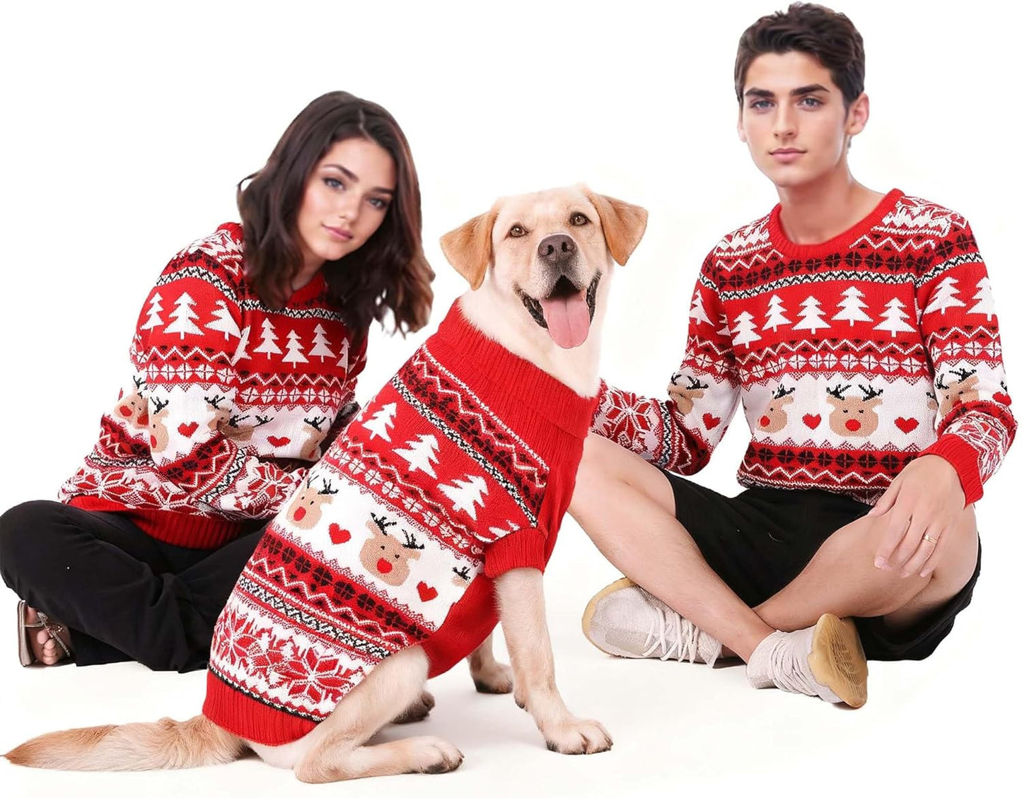 Matching Dog and Owner Christmas Sweaters for All Sizes