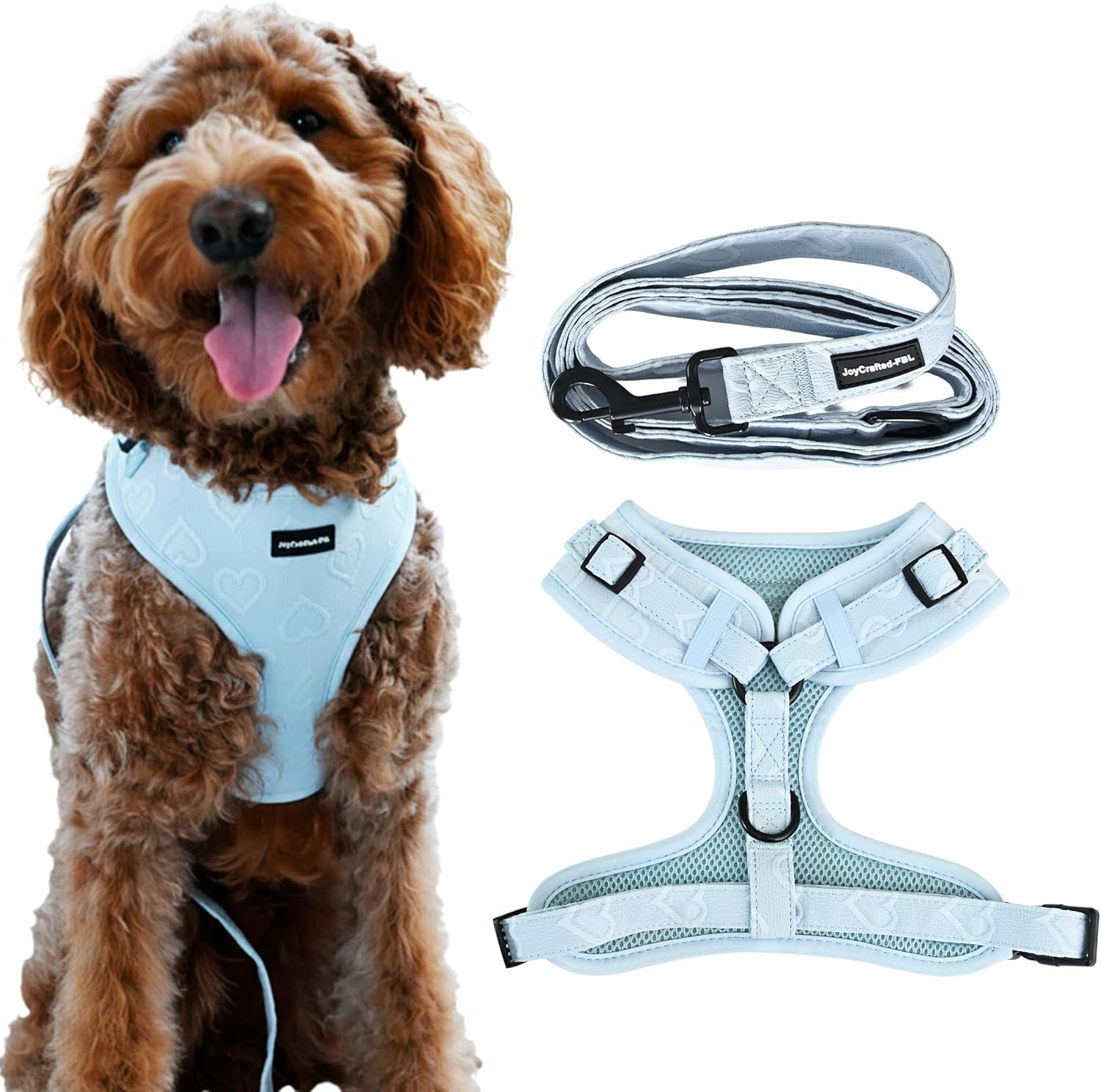 No Pull Puppy Harness and Leash Set for Extra Small Dogs