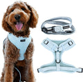 No Pull Puppy Harness and Leash Set for Extra Small Dogs - Secure