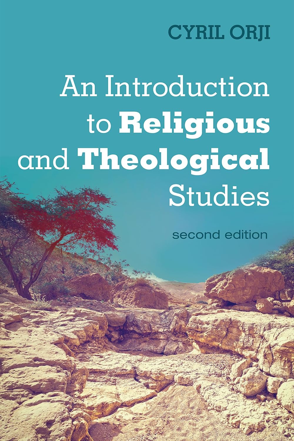 An Introduction to Religious and Theological Studies Book Review