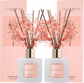 Cocorrina Premium Reed Diffuser Set with Preserved Baby's Breath