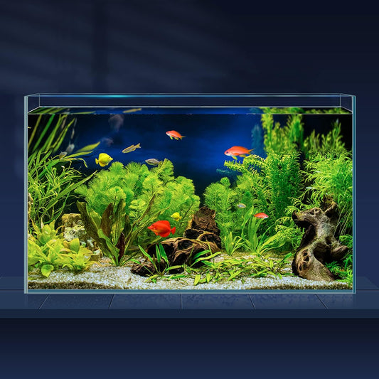 10 Gallon Ultra Clear Glass Fish Tank for Betta and Goldfish