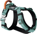 Y-Shaped Dog Harness Florida Seaside Size 5 - Premium Explorer Harness