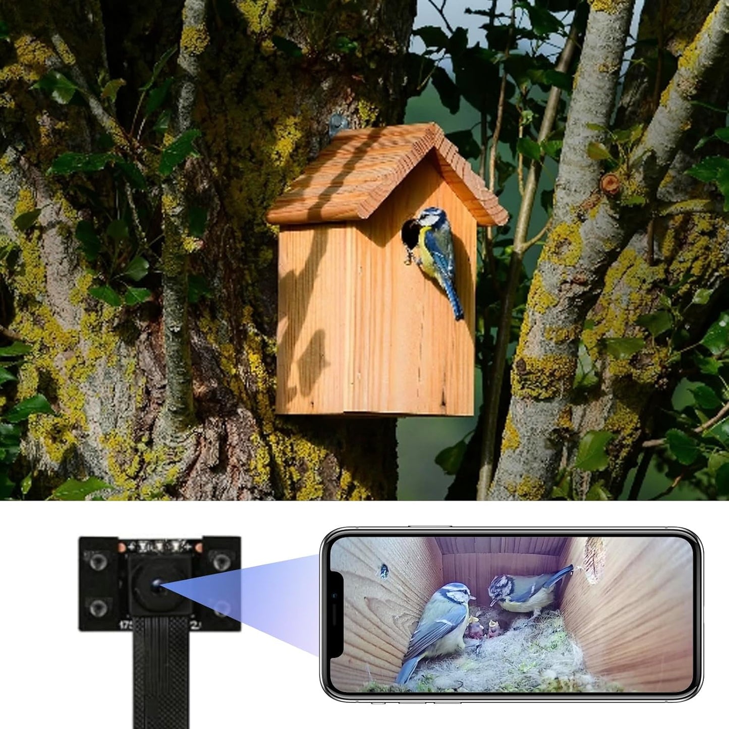 4K WiFi Bird Box Cam - Live Video, Easy Install, Night Mode