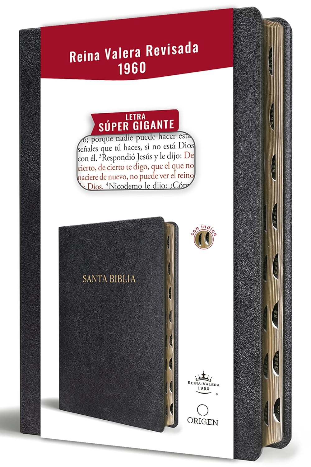 Biblia Reina Valera Revisada 1960 Super Giant Print Edition