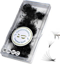 10D 0.07 C and D Curl 1000 Premade Volume Fans - Natural Long-Lasting