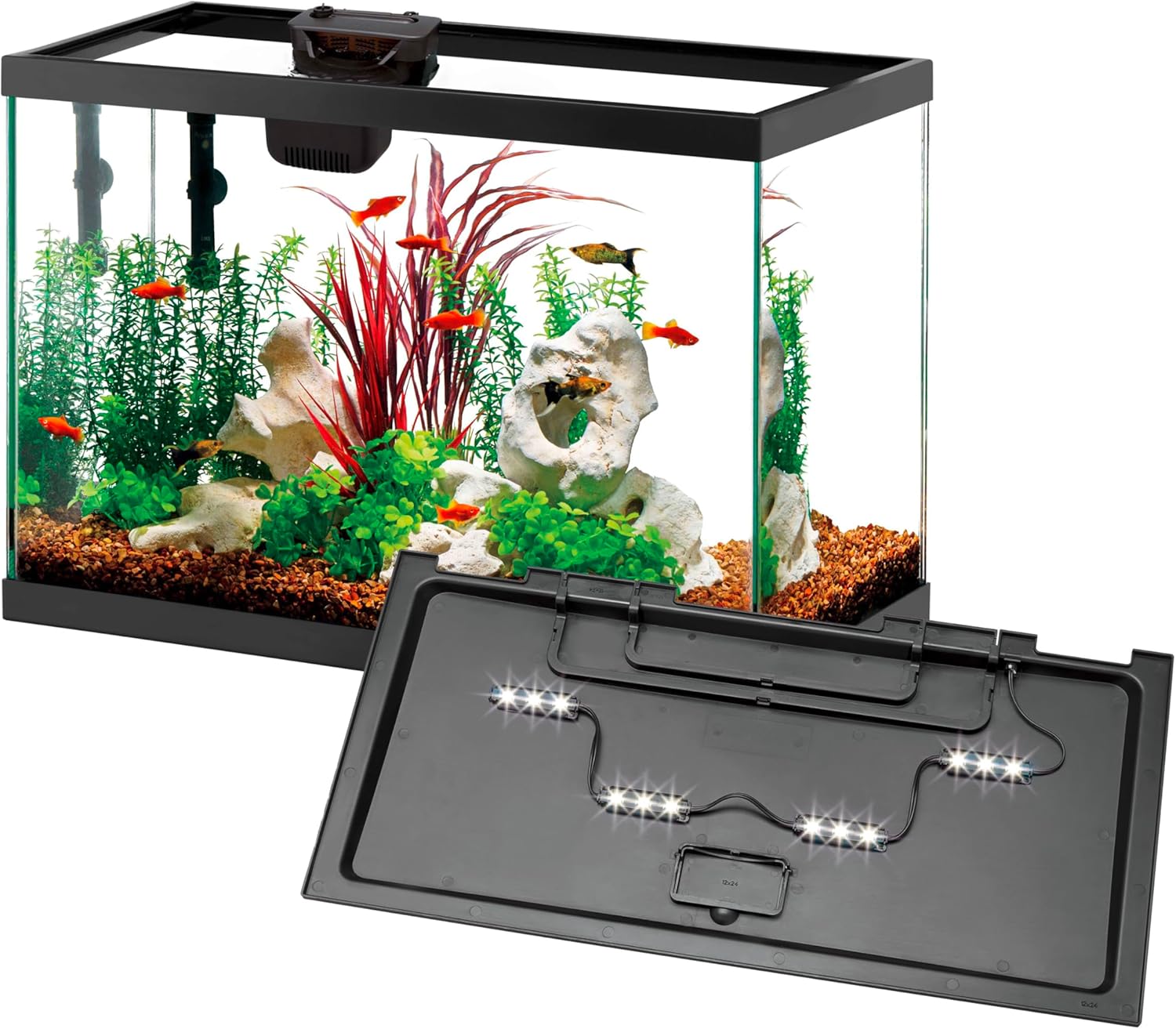 Aqueon 20 Gallon Aquarium Starter Kit with SmartClean Filter