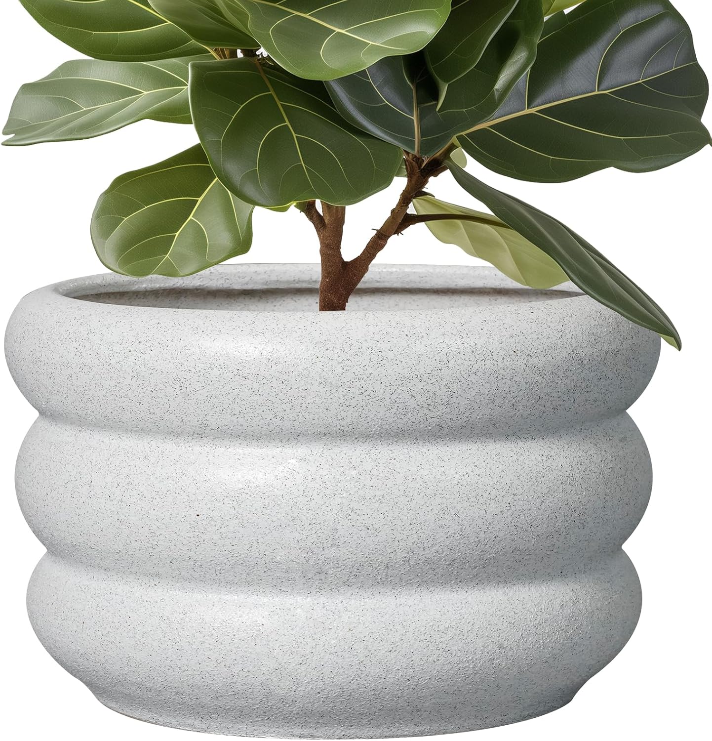 SQOWL 13.5 Inch Ceramic Planter Pot for Indoor and Outdoor Use