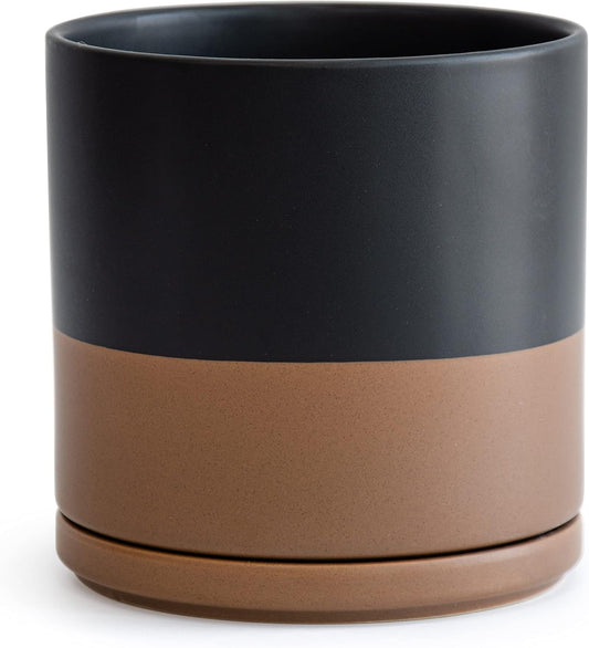 D'vine Dev 10 Inch Ceramic Planter Pot with Drainage Hole