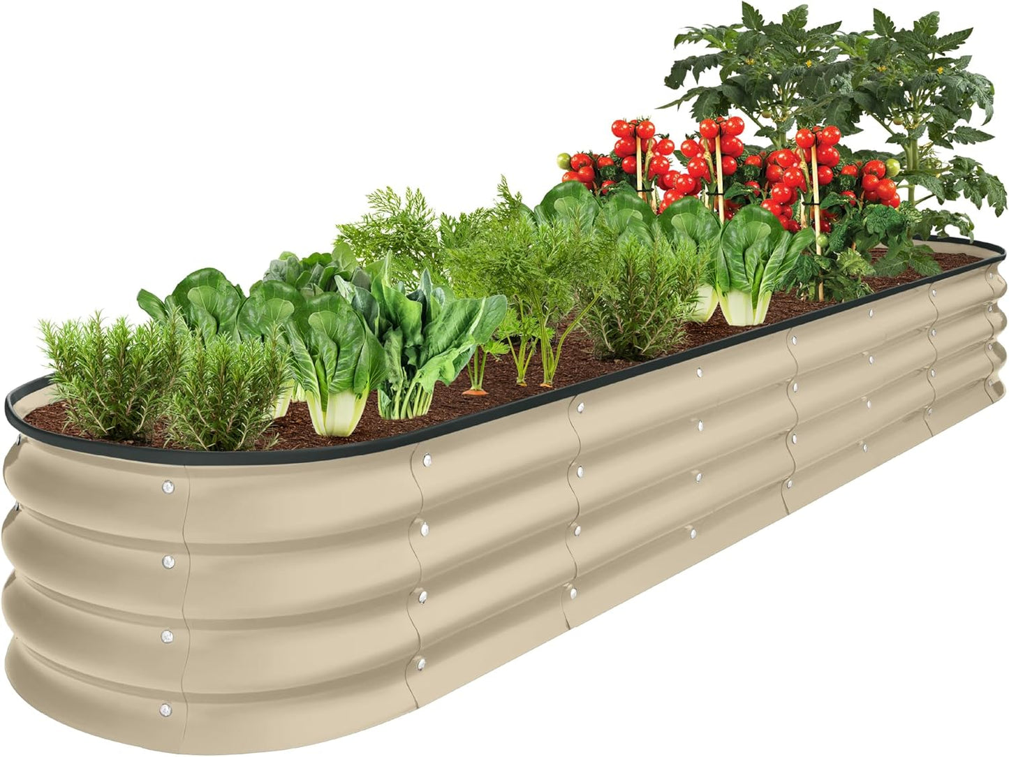Outdoor Metal Raised Garden Bed for Vegetables and Herbs