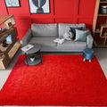 AROGAN Fluffy Rugs for Bedroom Living Room, Plush 5x8 Feet