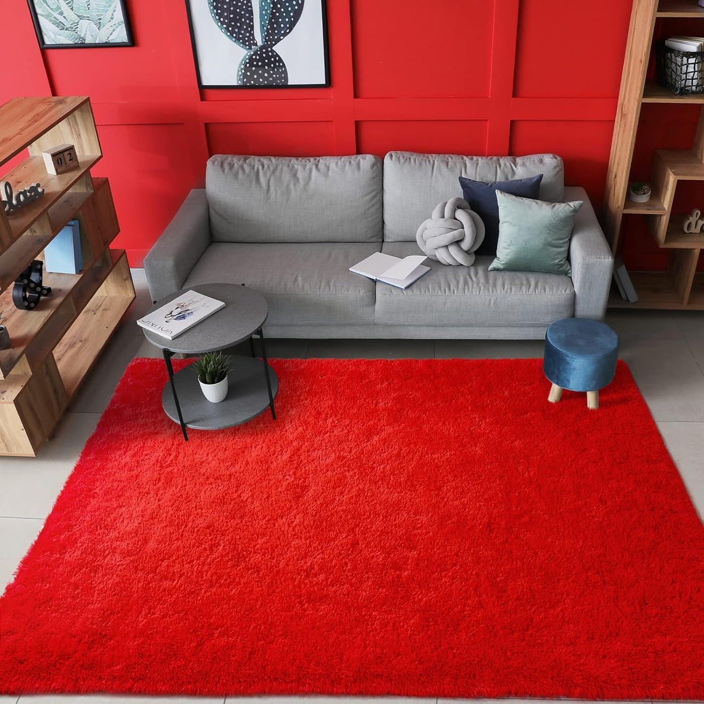 AROGAN Fluffy Rugs for Bedroom Living Room, Plush 5x8 Feet