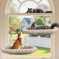 Cat Window Perch & Hammock 2-Pack - Plush Wool Fleece for Large Cats
