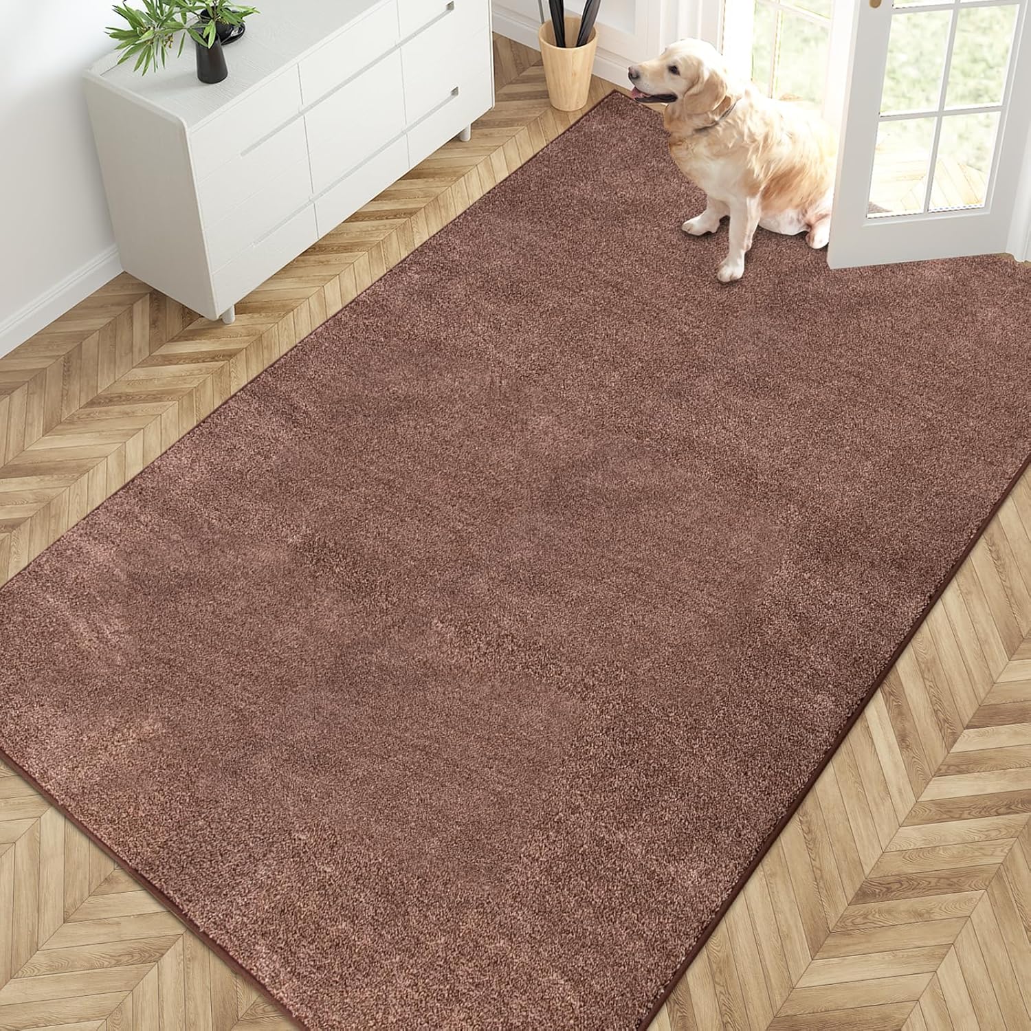PURRUGS Easy Care Area Rug 4.5ft x 7ft for Every Home
