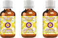 Pure Citronella Essential Oil 100ml x 3 - Steam Distilled, Therapeutic