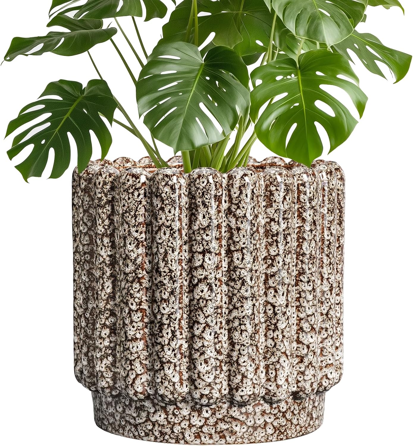 Stylish 9.6 Inch Ceramic Planter with Drainage Hole for Home