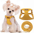 Puppytie No Pull XS Dog Harness with Comfort Leash Attachment