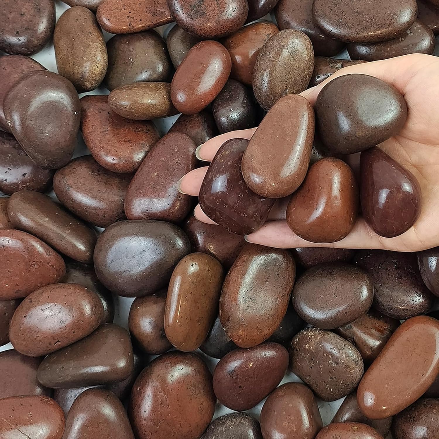 40 lbs Red River Rocks for Landscaping and Indoor Plants