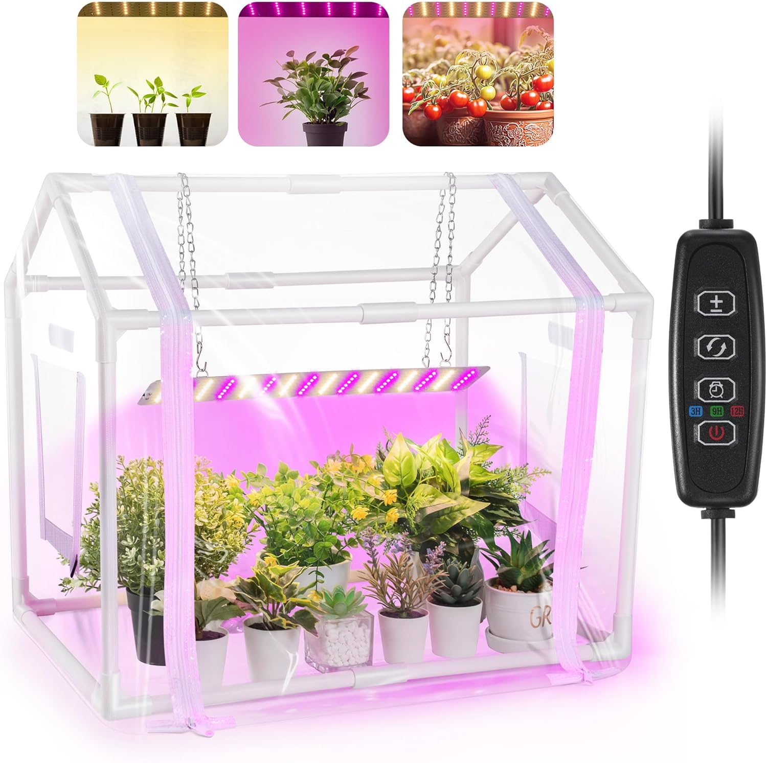Mini Greenhouse with Grow Light for Indoor Plant Growth